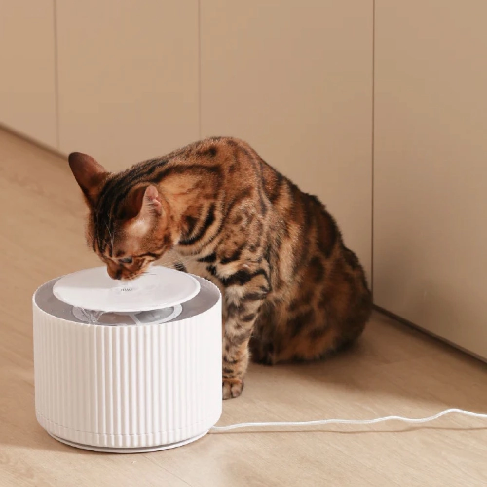 10% OFF: FurryTail Automatic Clear Cat Drinking Fountain 2L