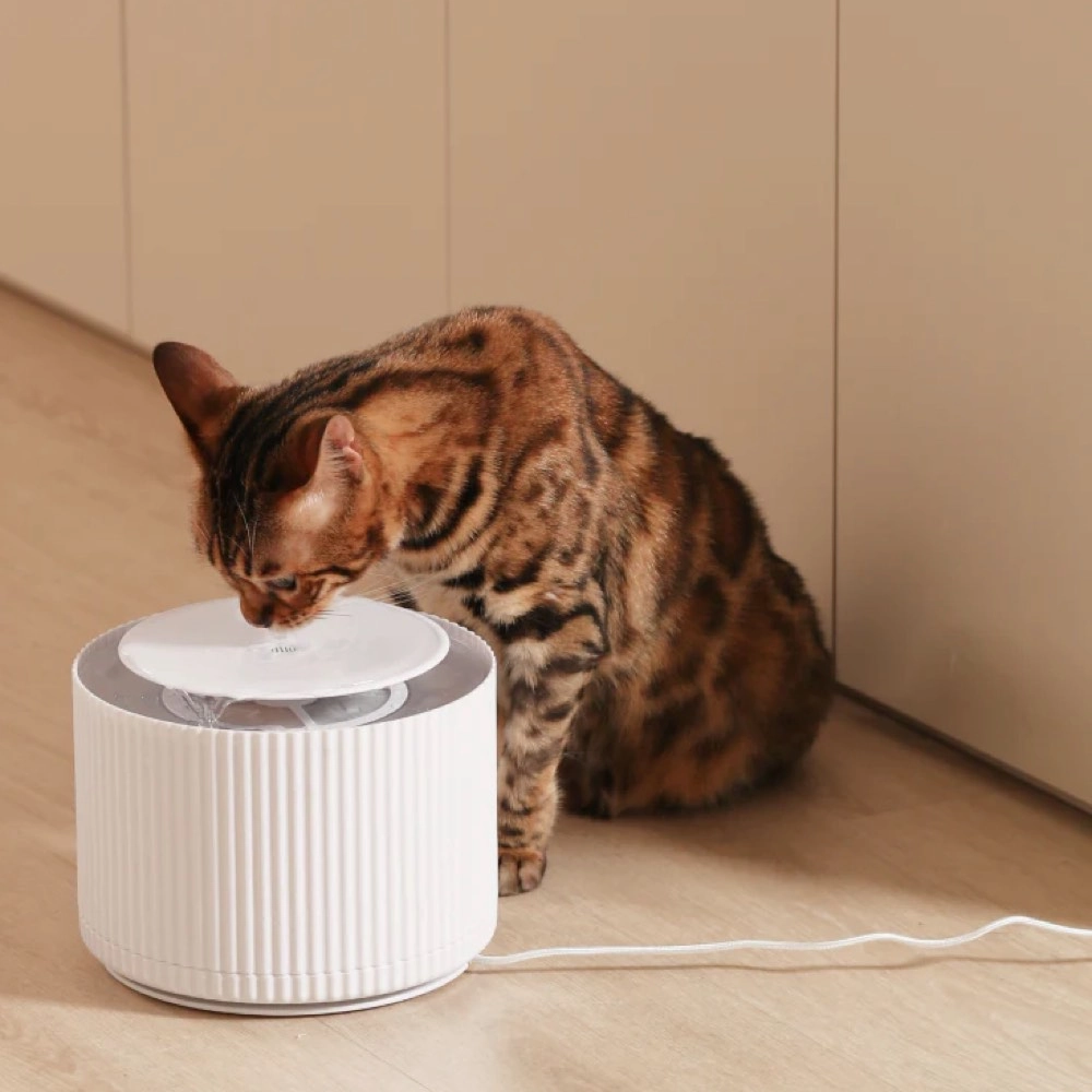 10% OFF: FurryTail Automatic Clear Cat Drinking Fountain 2L