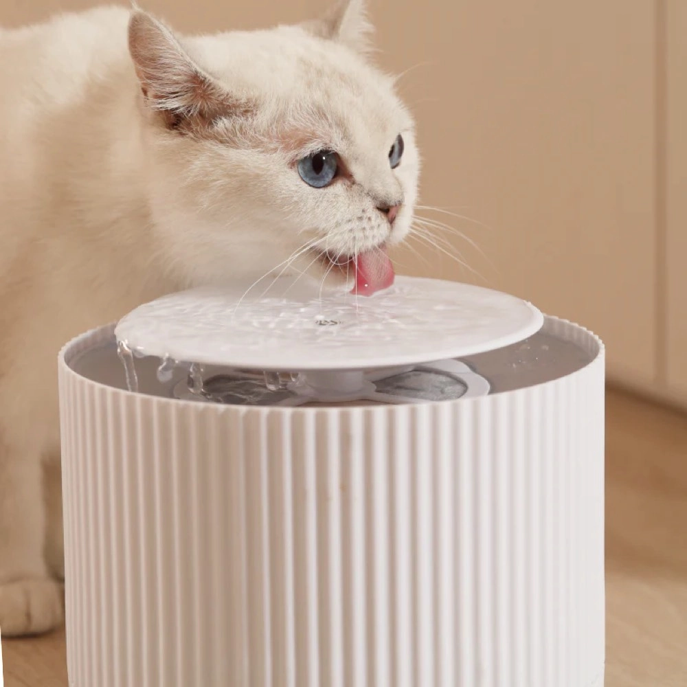 10% OFF: FurryTail Automatic Clear Cat Drinking Fountain 2L