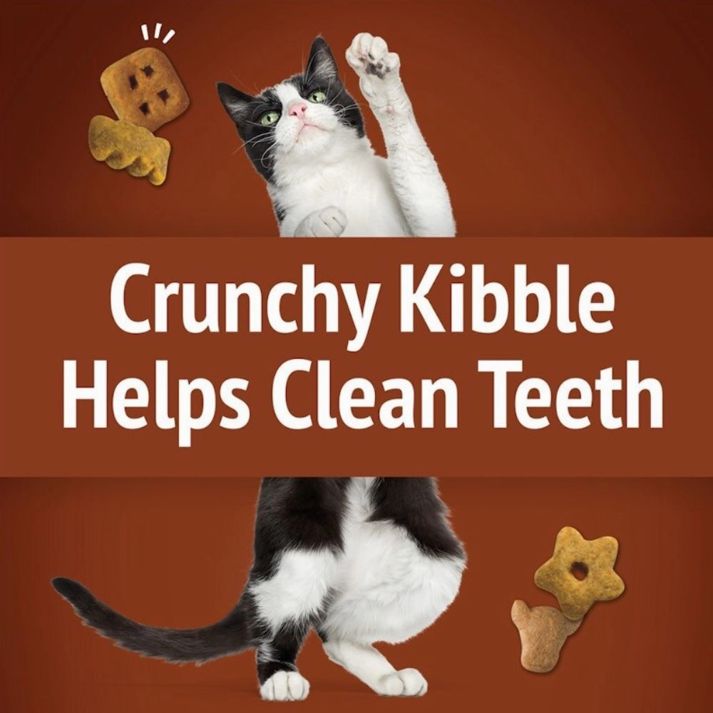 15% OFF: Friskies Party Mix Wild West Crunch Cat Treats 60g