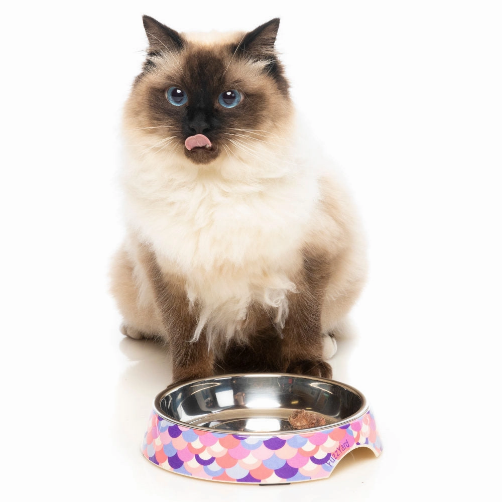 15% OFF: FuzzYard Easy Feeder Cat Bowl (Atlantica)