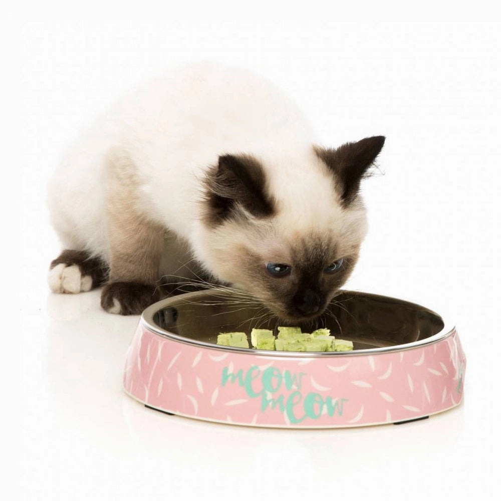 15% OFF: FuzzYard Easy Feeder Cat Bowl (Featherstorm)