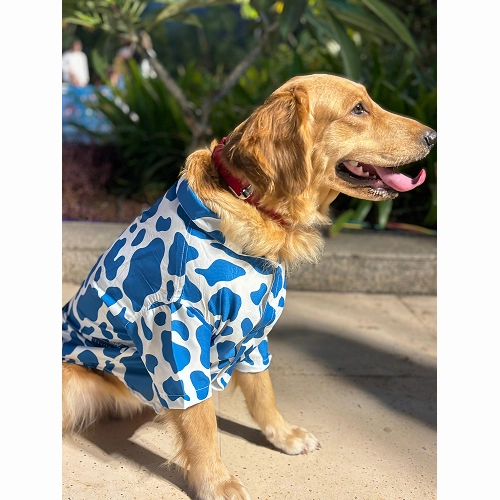 15buttons Blue Moo Shirt for Dogs