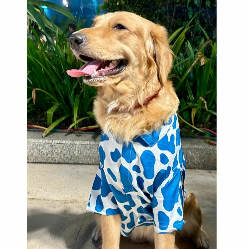 15buttons Blue Moo Shirt for Dogs