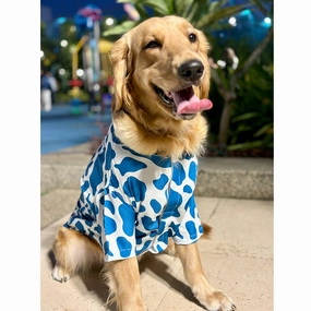 15buttons Blue Moo Shirt for Dogs