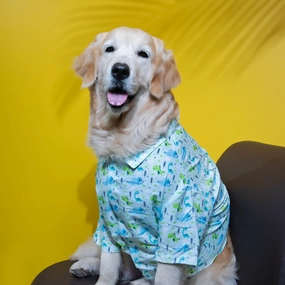 15buttons Jungle Gym Shirt for Dogs