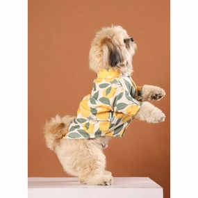 Dog Summer Clothes
