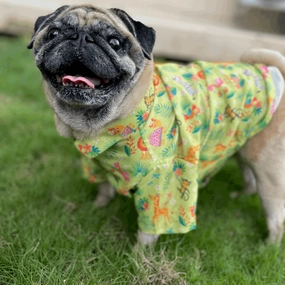 15buttons Madagascar Shirt for Dogs