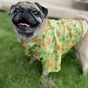 15buttons Madagascar Shirt for Dogs