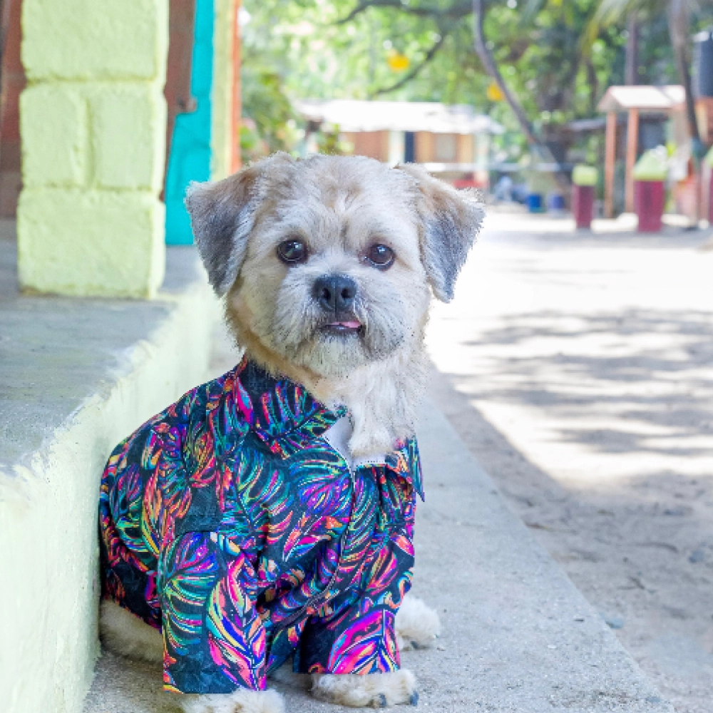 15buttons Neon Tropical Shirt for Dogs
