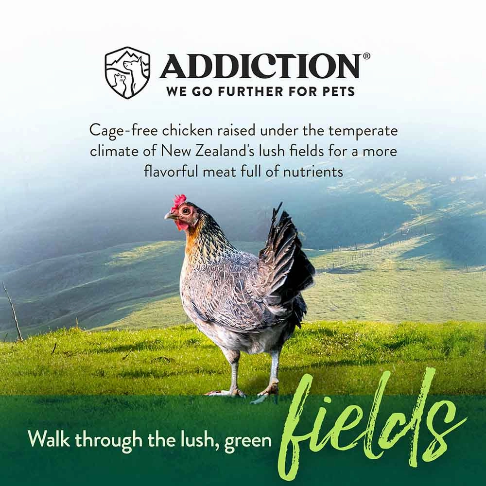 25% OFF   FREE CANNED FOOD/SCOOP: Addiction Chicken Supreme Grain-Free Adult Dry Cat Food