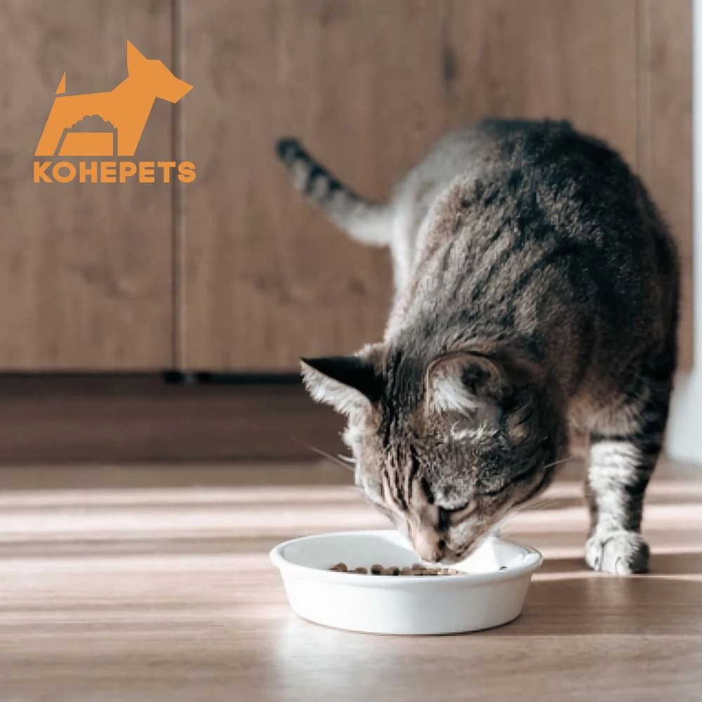$10 OFF 24 cans: Aixia Kuro-Can Mini Tuna & Skipjack Tuna with Anchovy Canned Cat Food 80g x 24