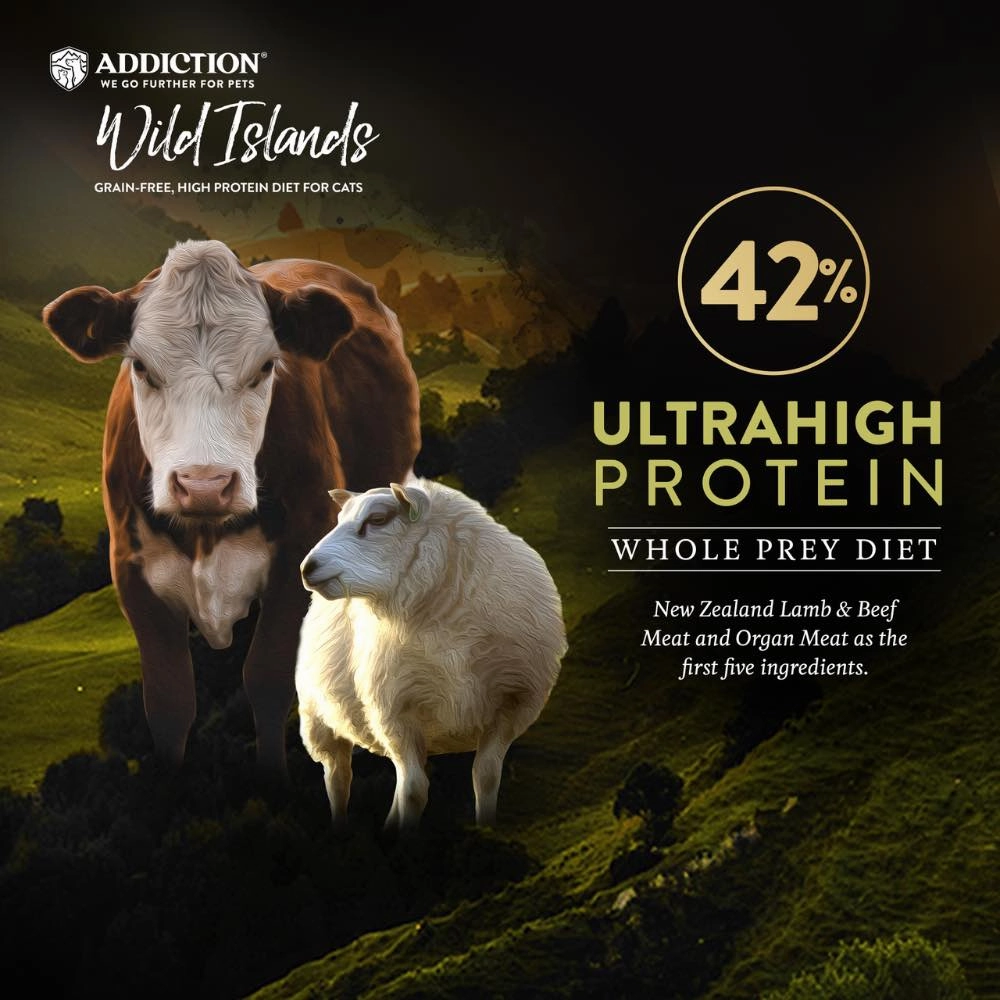 '26% OFF   FREE CANNED FOOD/SCOOP': Addiction Wild Islands Highland Meats Recipe Lamb & Beef Grain-Free Dry Cat Food