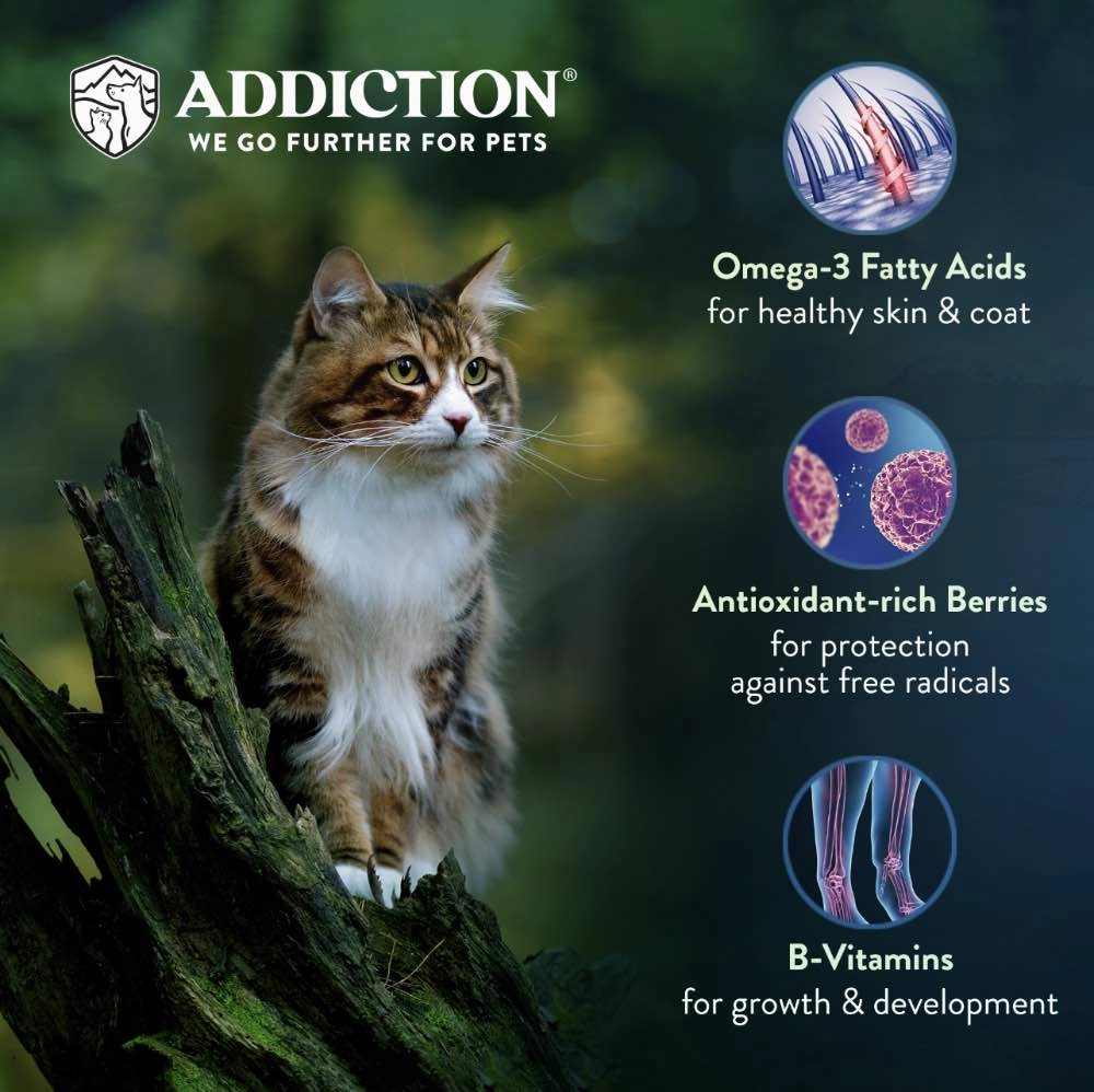'26% OFF   FREE CANNED FOOD/SCOOP: Addiction Salmon Bleu Grain-Free Dry Cat Food