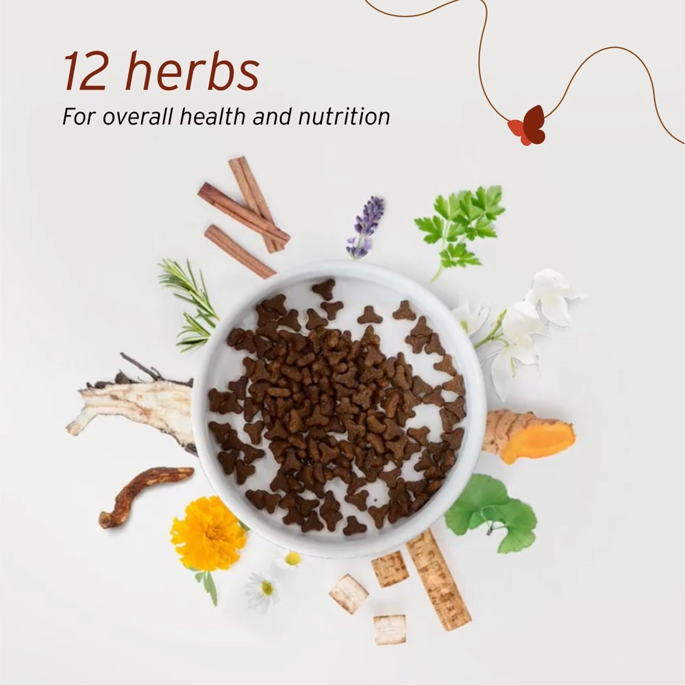 'BUNDLE DEAL': Nurture Pro Nourish Life Alaskan Salmon Indoor Kitten & Adult Formula Dry Cat Food