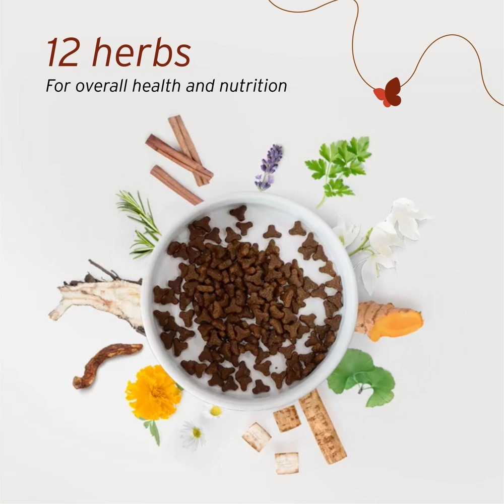 'BUNDLE DEAL': Nurture Pro Nourish Life Chicken Kitten & Adult Dry Cat Food