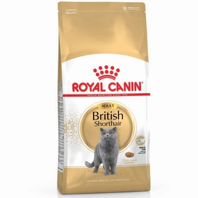 'BUNDLE DEAL/FREE TREAT': Royal Canin British Shorthair Adult Dry Cat Food 4kg