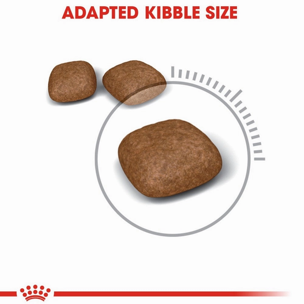 'BUNDLE DEAL/FREE TREAT': Royal Canin Urinary Care Dry Cat Food