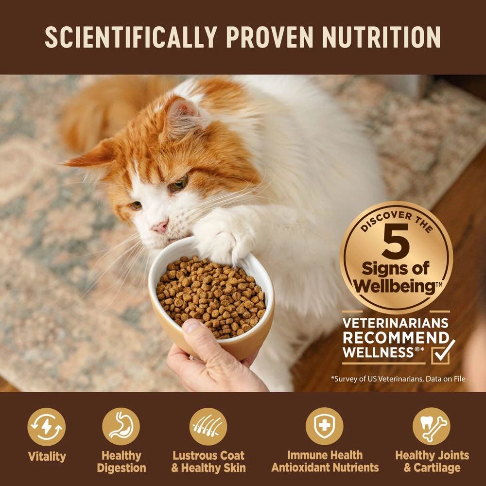 'FREE TREATS': Wellness CORE Adult Turkey, Turkey Meal & Duck Grain-Free Dry Cat Food