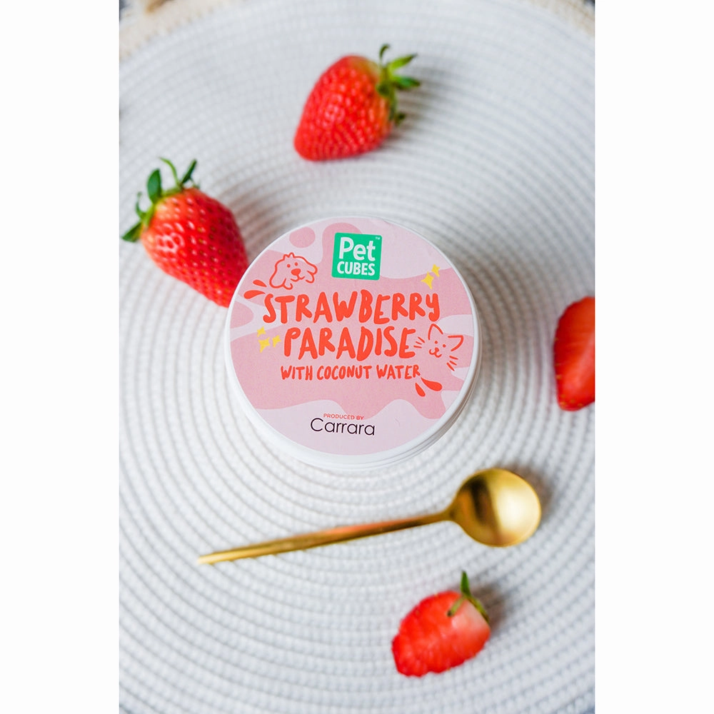 *FROZEN* PetCubes Dogs & Cats Icecream Strawberry Paradise 3.5oz ( NOT FOR DELIVERY )