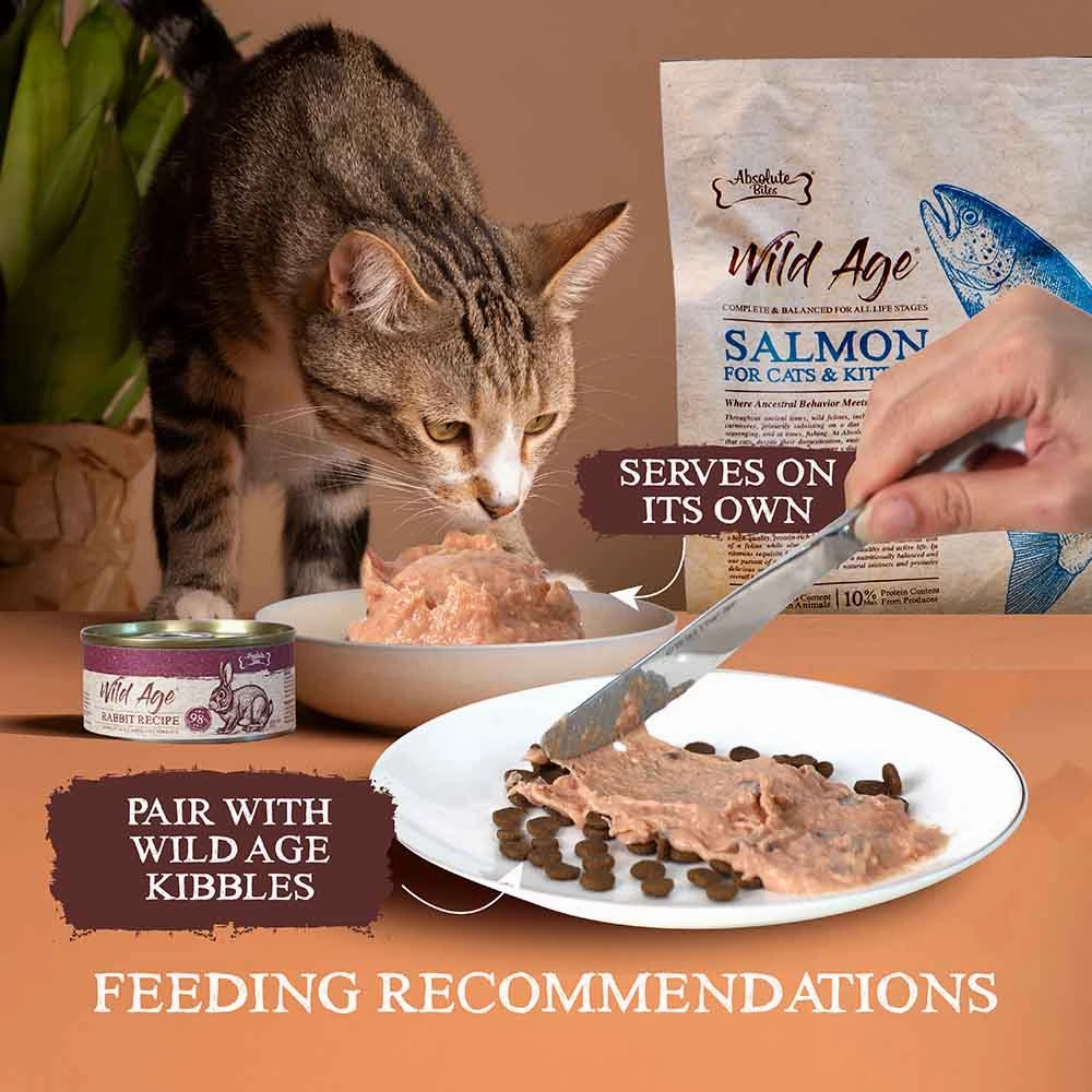 Absolute Bites Wild Age Salmon Complete & Balanced Diet Canned Cat Food 80g - Box of 6