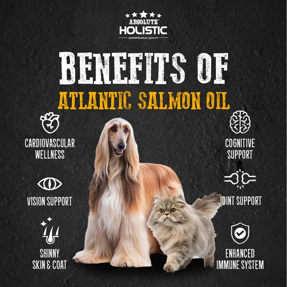 Absolute Holistic Wild Salmon Fish Oil Natural Pet Supplement for Cats & Dogs 250ml