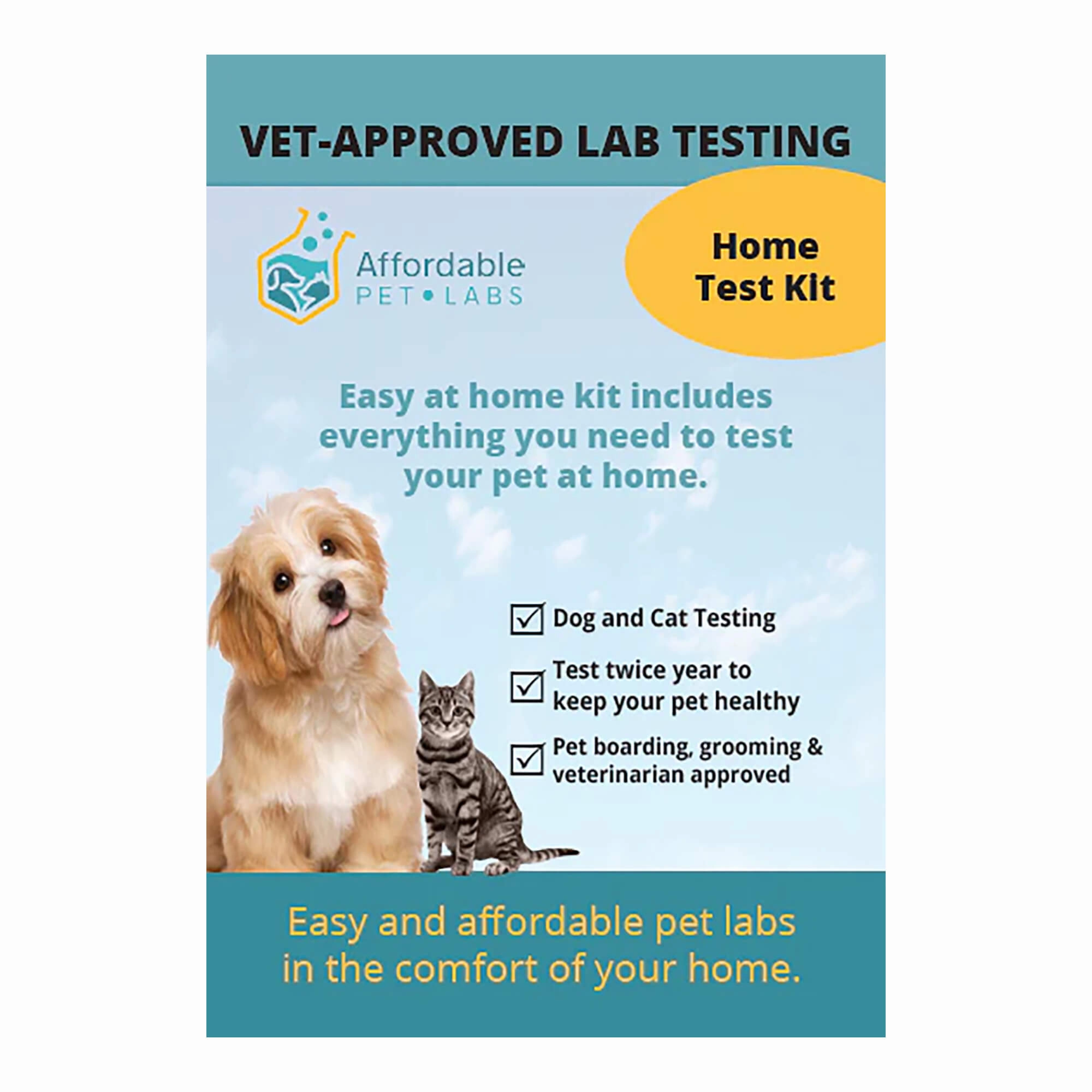 Affordable Pet Labs - Complete Urinalysis with Microscopic Evaluation For Cats, Easy Home Test Kit