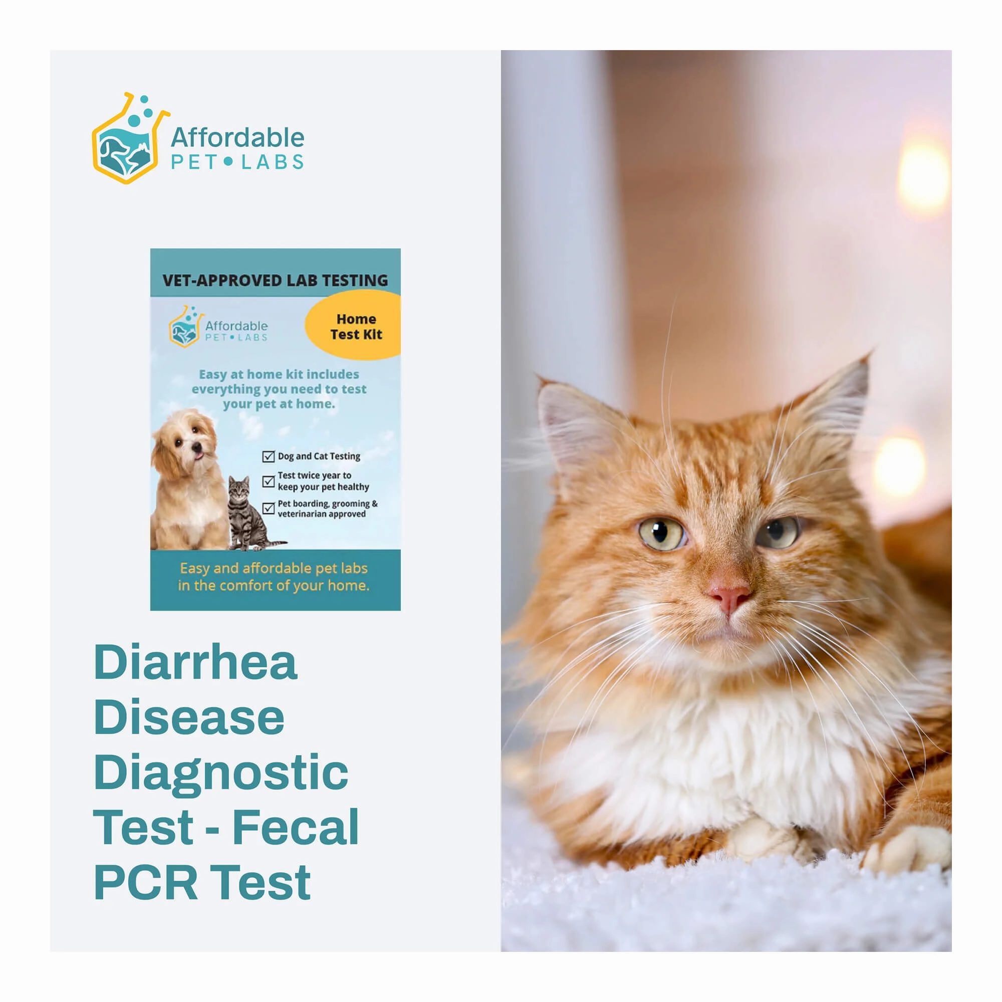 Affordable Pet Labs - Diarrhea Disease Diagnostic Test - Fecal PCR Test For Cats, Easy Home Kit