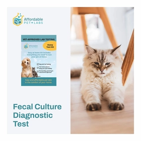 Affordable Pet Labs - Fecal Culture Diagnostic Test For Cats, Easy Home Kit