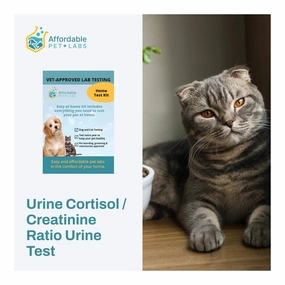 Affordable Pet Labs - Urine Cortisol / Creatinine Ratio Urine Test For Cats, Easy Home Kit
