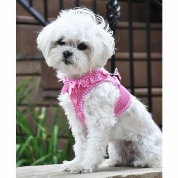 American River Choke Free Harness - Pink Polka Dot