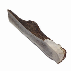 Antler - Split Elk Medium