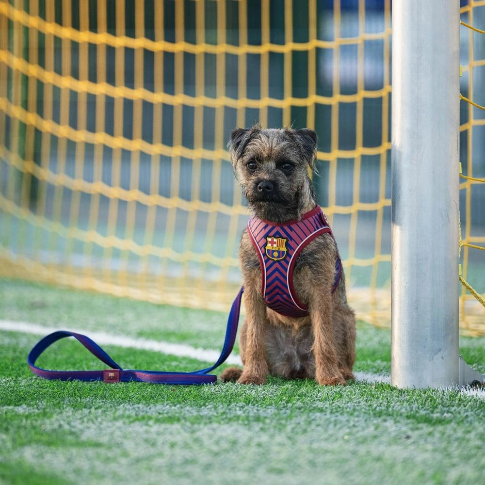 Barcelona Multi-Function Dog Leash