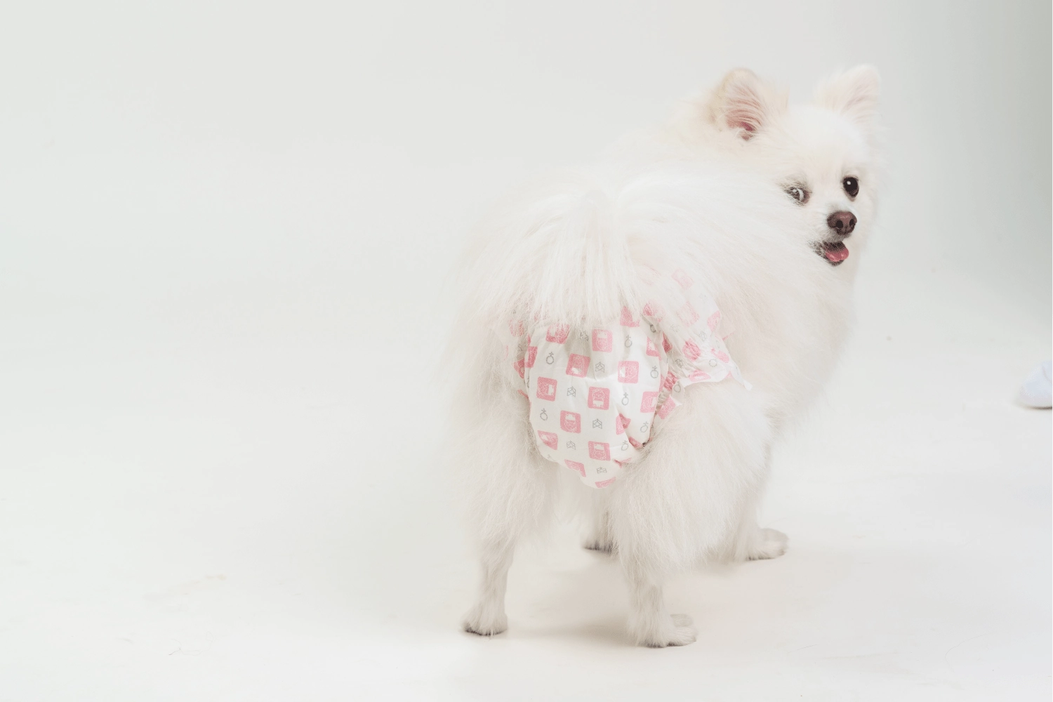 Barkbutler x Fofos Diaper for Female Dogs (32x50cm)