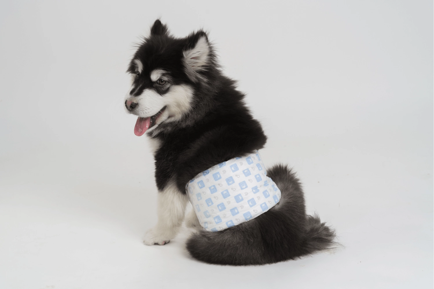 Barkbutler x Fofos Diaper for Male Dog (20x25cm)