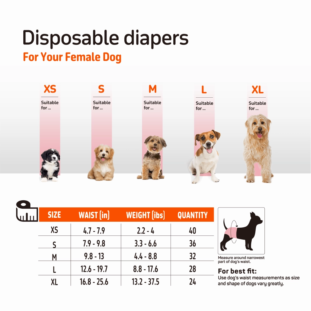 Barkbutler x Fofos Diaper for Male Dog (20x25cm)