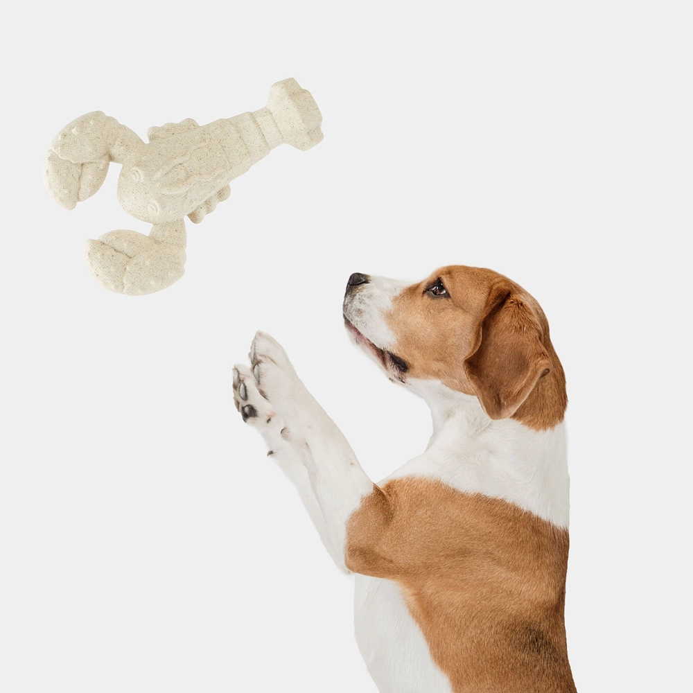 Barkbutler x Fofos Durable Lobster Chew Toy for Dogs