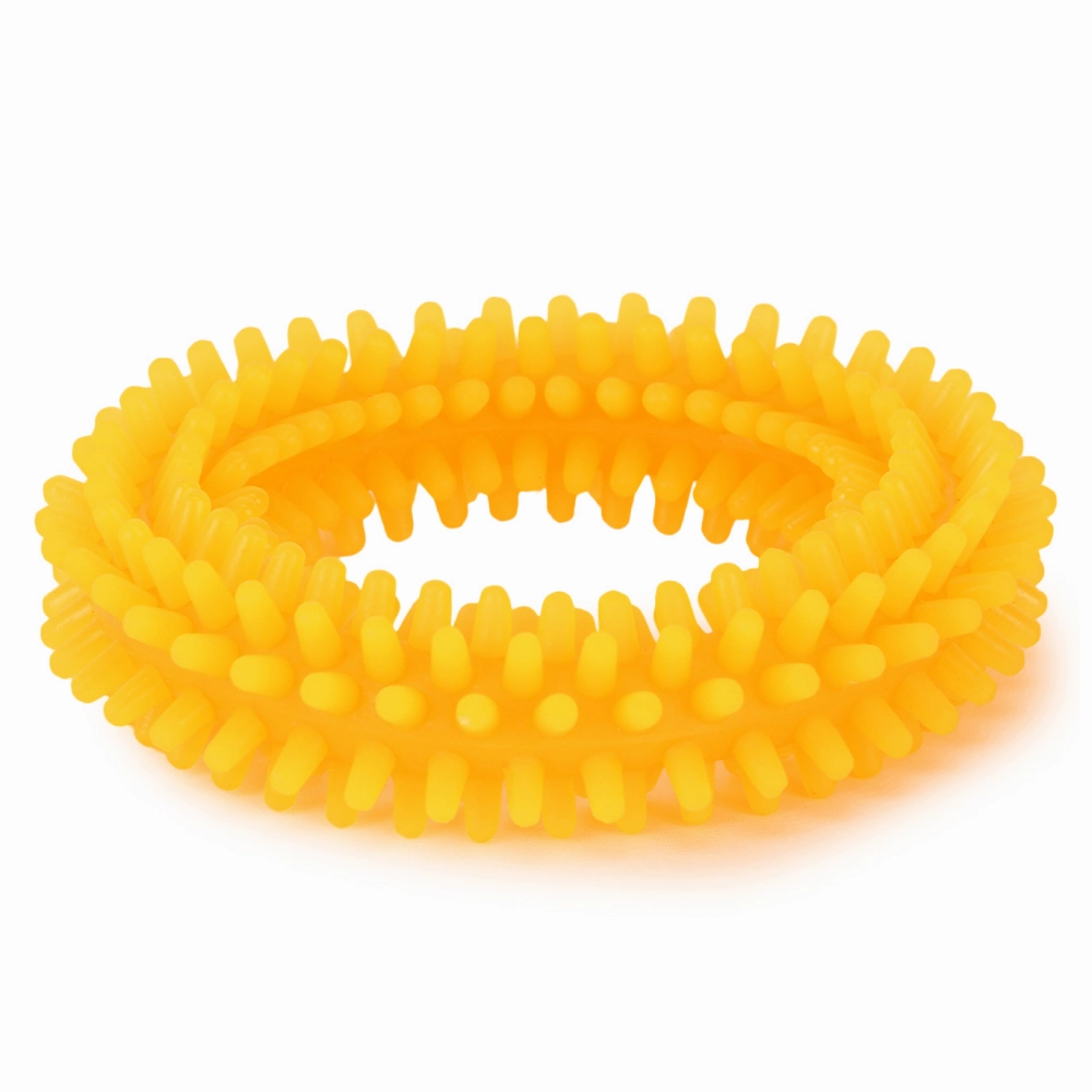 Basil Teething Ring Chew Toy and Squeaky Rubber Ball Toy Combo for Dogs