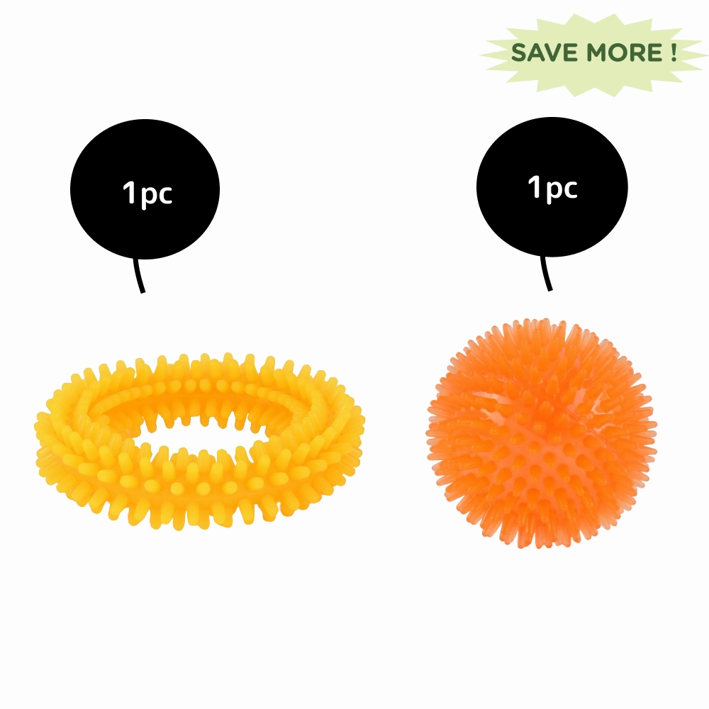 Basil Teething Ring Chew Toy and Squeaky Rubber Ball Toy Combo for Dogs