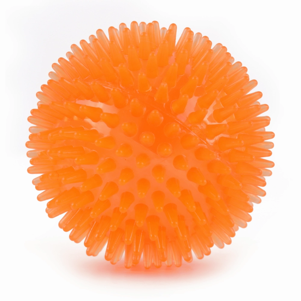 Basil Teething Ring Chew Toy and Squeaky Rubber Ball Toy Combo for Dogs