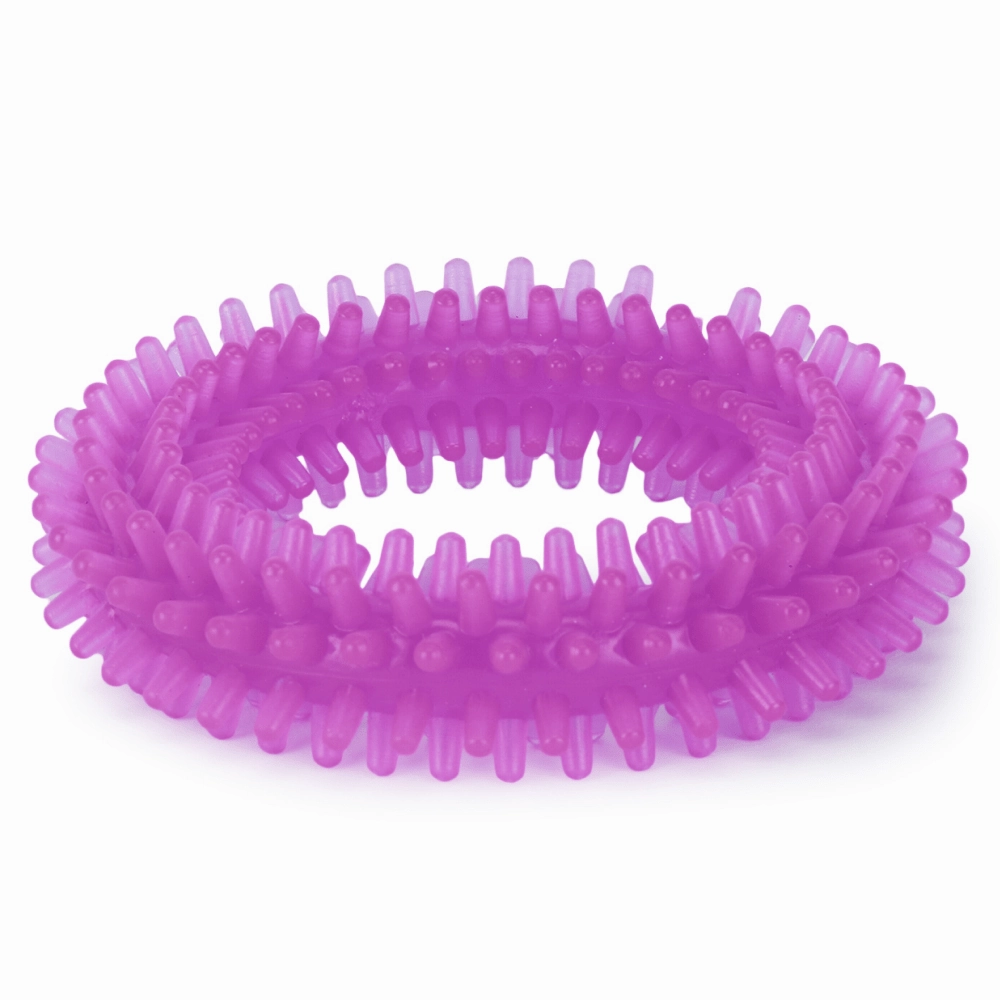 Basil Teething Ring Chew Toy for Dogs | For Medium Chewers