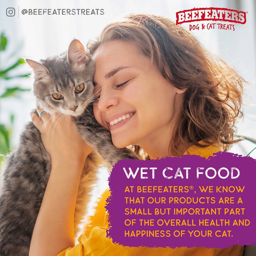 Beefeaters Pate Wet Cat Food, Case of 24