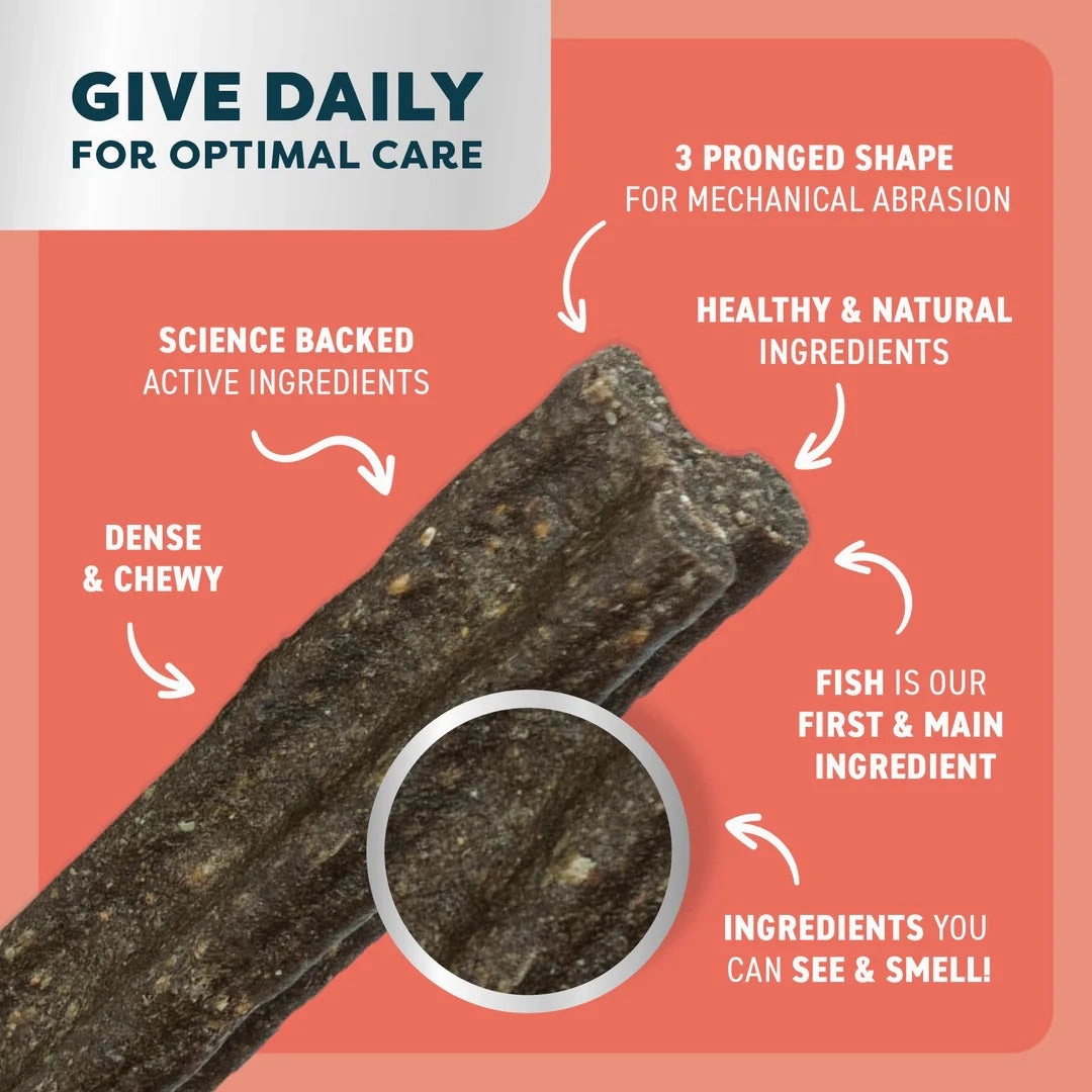 Bell & Bone - Salmon with Mint & Charcoal Dog Dental Treats