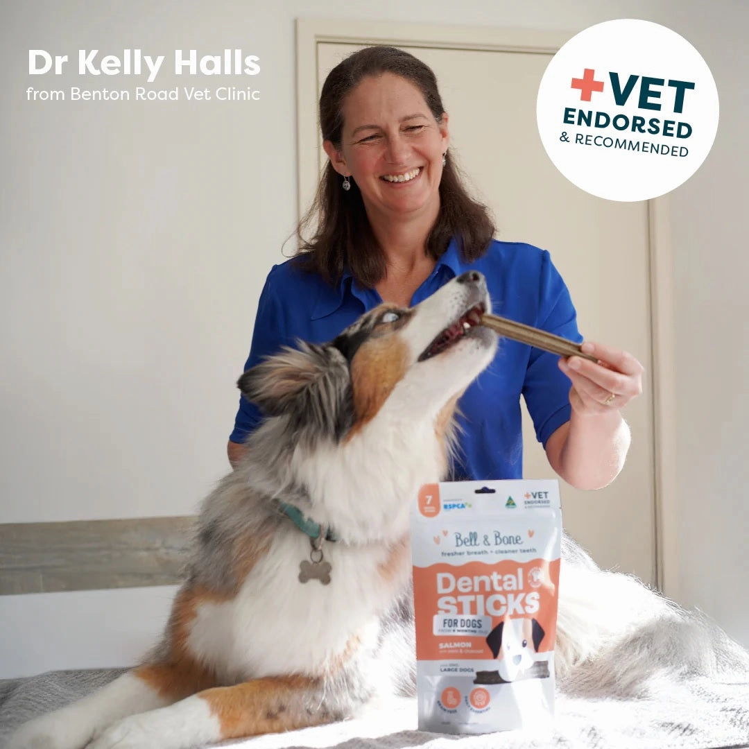 Bell & Bone - Salmon with Mint & Charcoal Dog Dental Treats