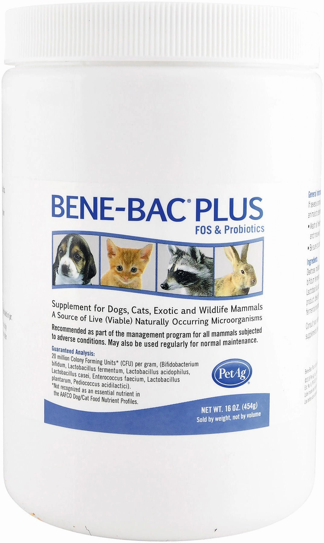 Bene-Bac Plus