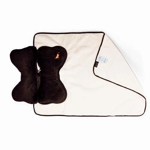 Big Bone Dog Pillow And Blanket