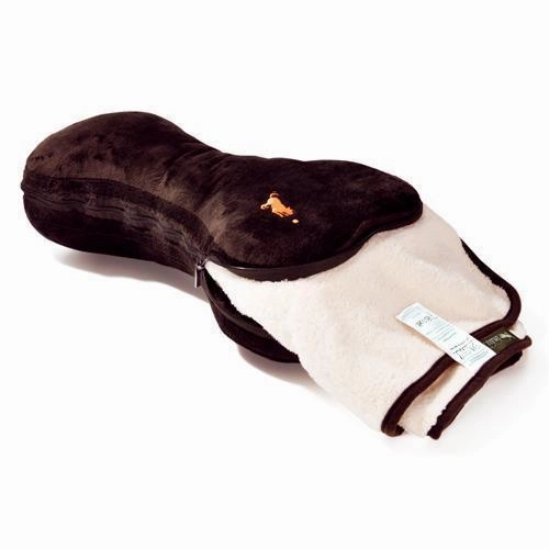 Big Bone Dog Pillow And Blanket