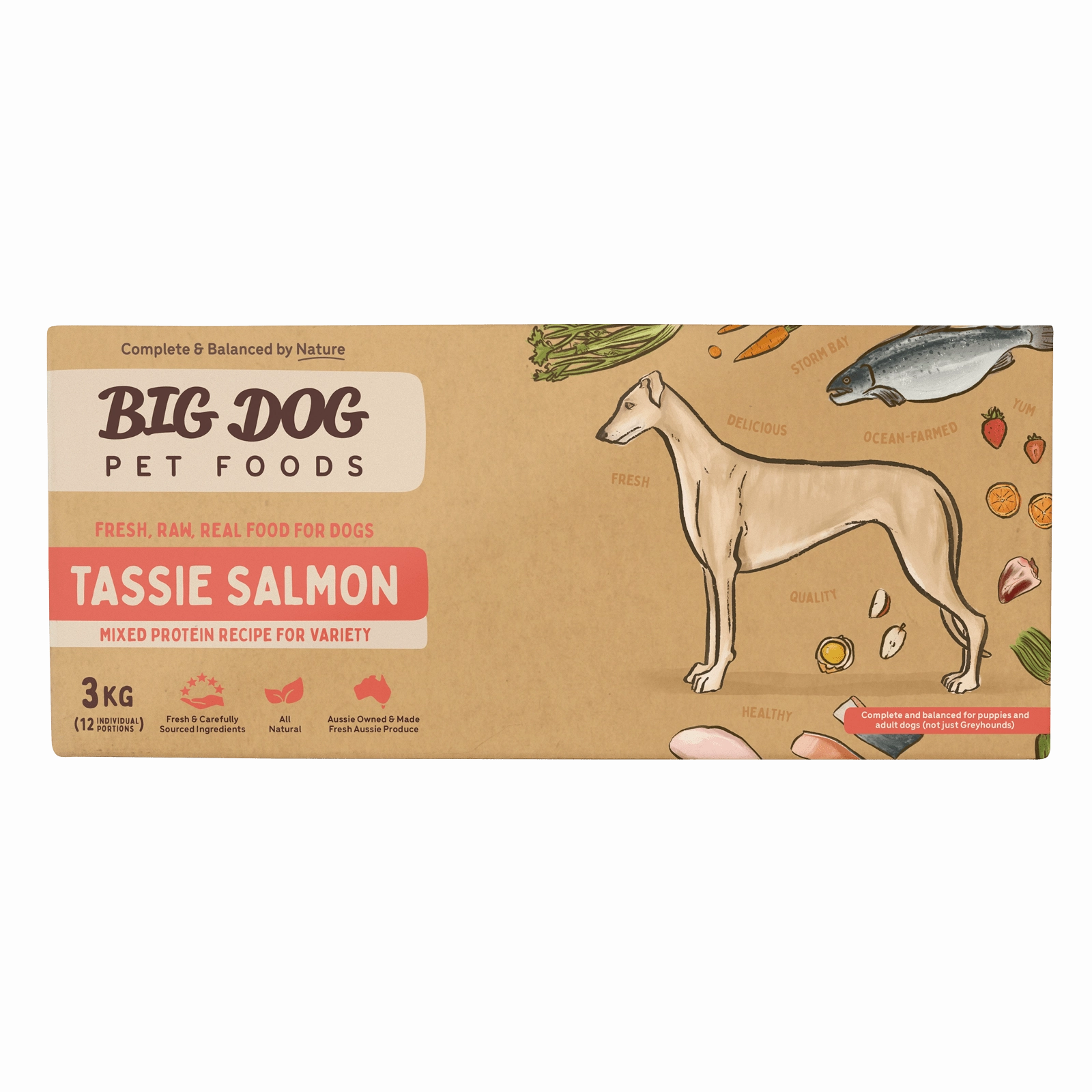 Big Dog Raw Dog Food Tasmanian Salmon 3kg 12pk