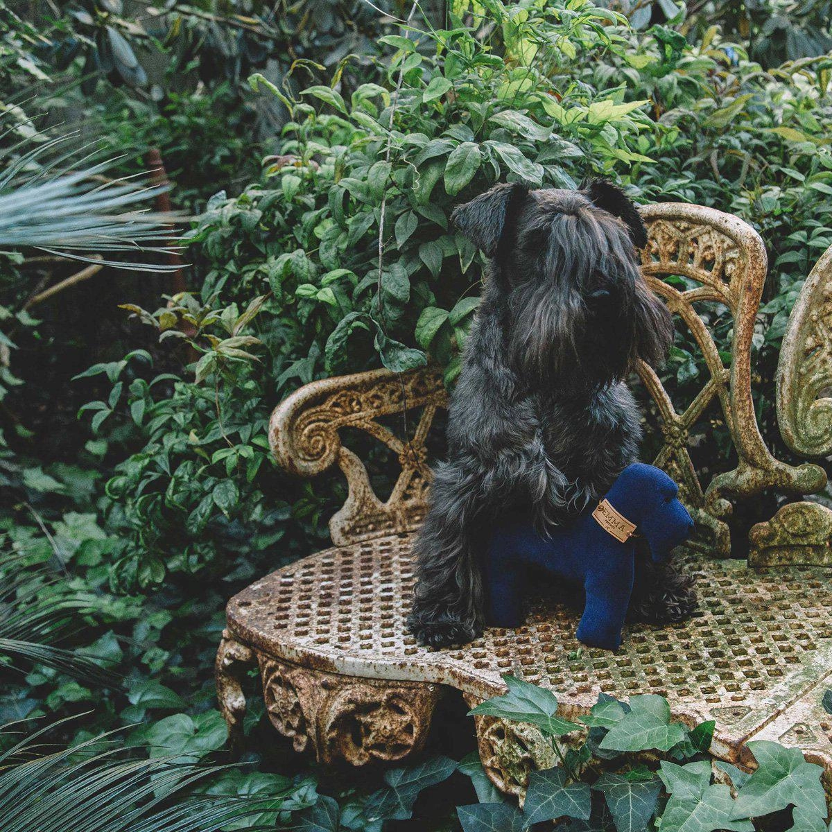 Blue And Faustina Dog Toy