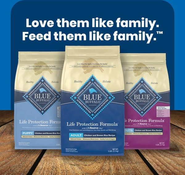 Blue Buffalo Life Protection Salmon & Brown Rice Recipe Adult Dry Dog Food